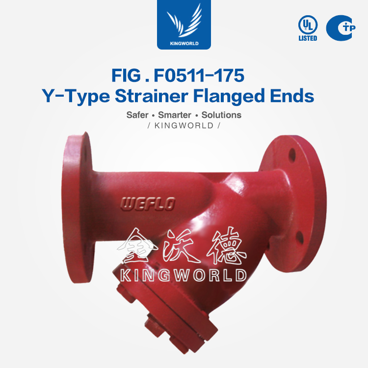 FIG . F0511175 YType Strainer Flanged Ends
