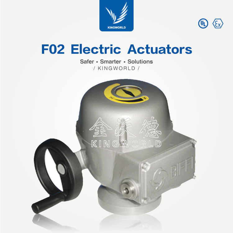 FM EX F02 Electric Actuators